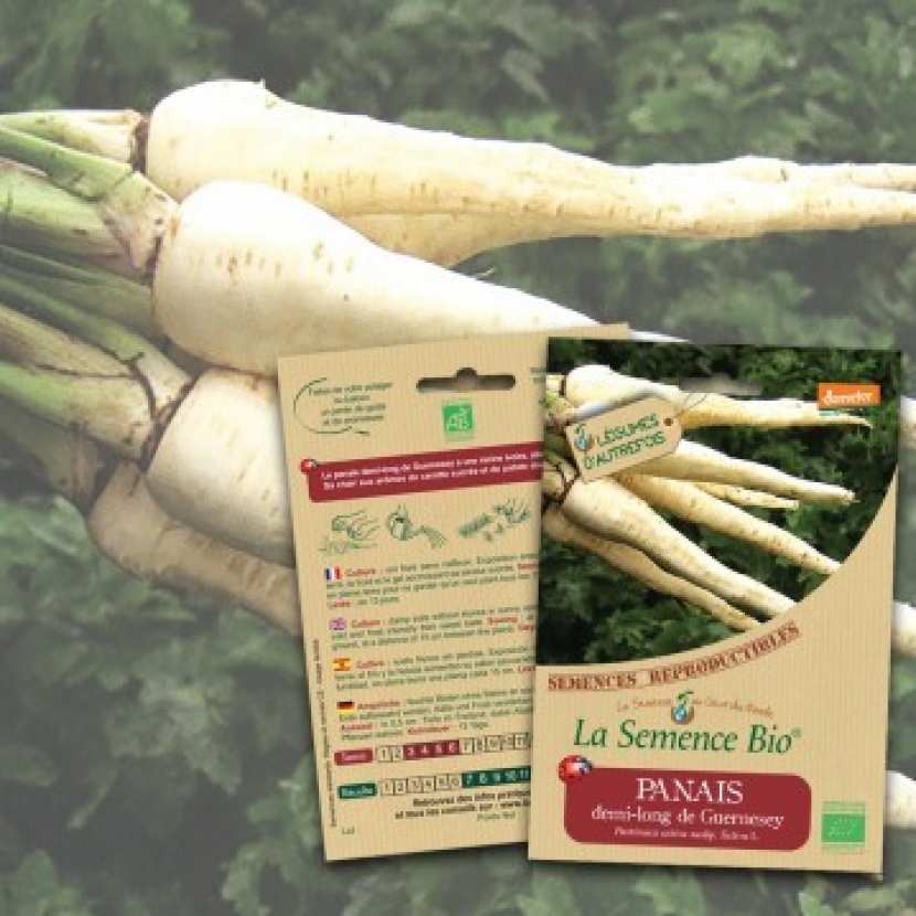 Graines de Panais demi-long de Guernesey en sachet Graines de Panais demi-long de Guernesey en sachet