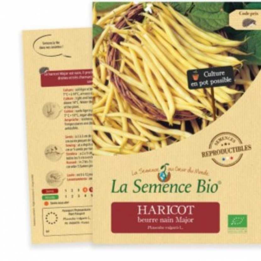 HARICOT Beurre Nain Fructidor Bio